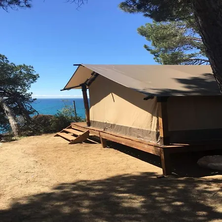 Kanguro Sant Pol De Mar