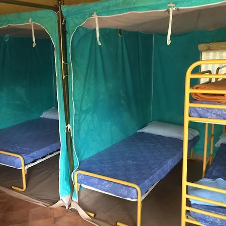 Kanguro 2*
