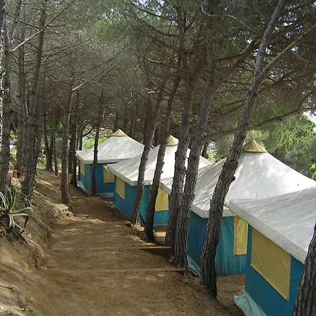 Kanguro سان بول ذي مار